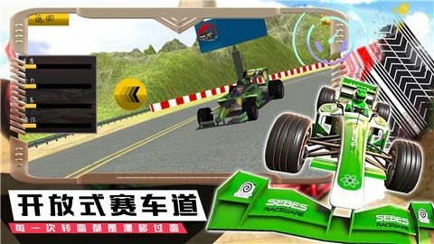 模拟极速赛车手手机版截图3