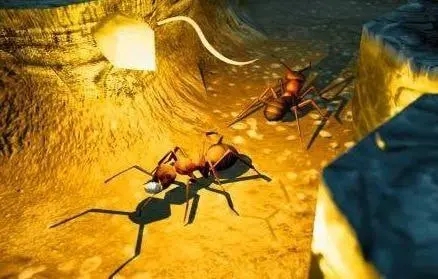 蚂蚁可以进化的游戏
