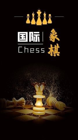 简单国际象棋中文版截图2
