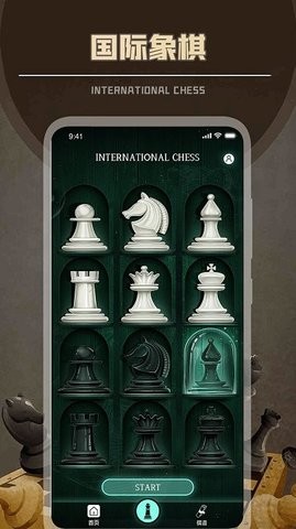 简单国际象棋安卓版截图1
