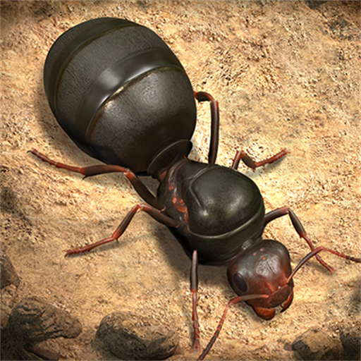 蚂蚁进化崛起