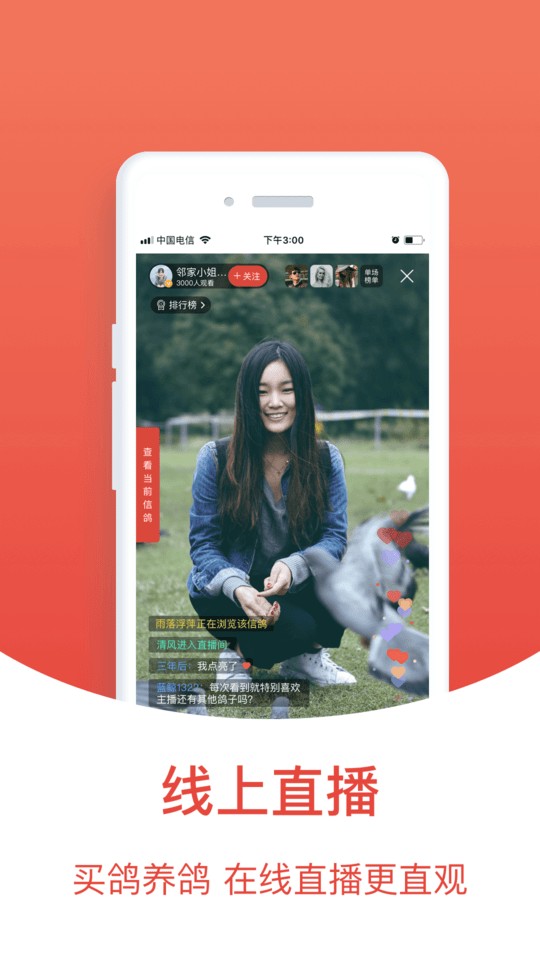 搜鴿天下截圖