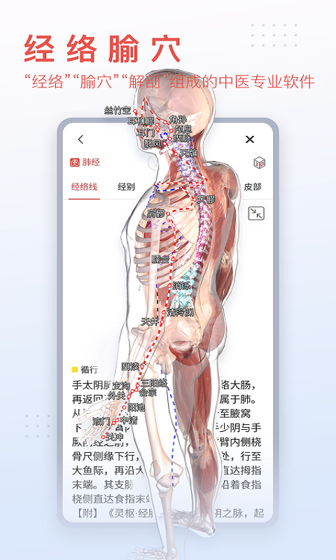 3Dbody解剖截圖