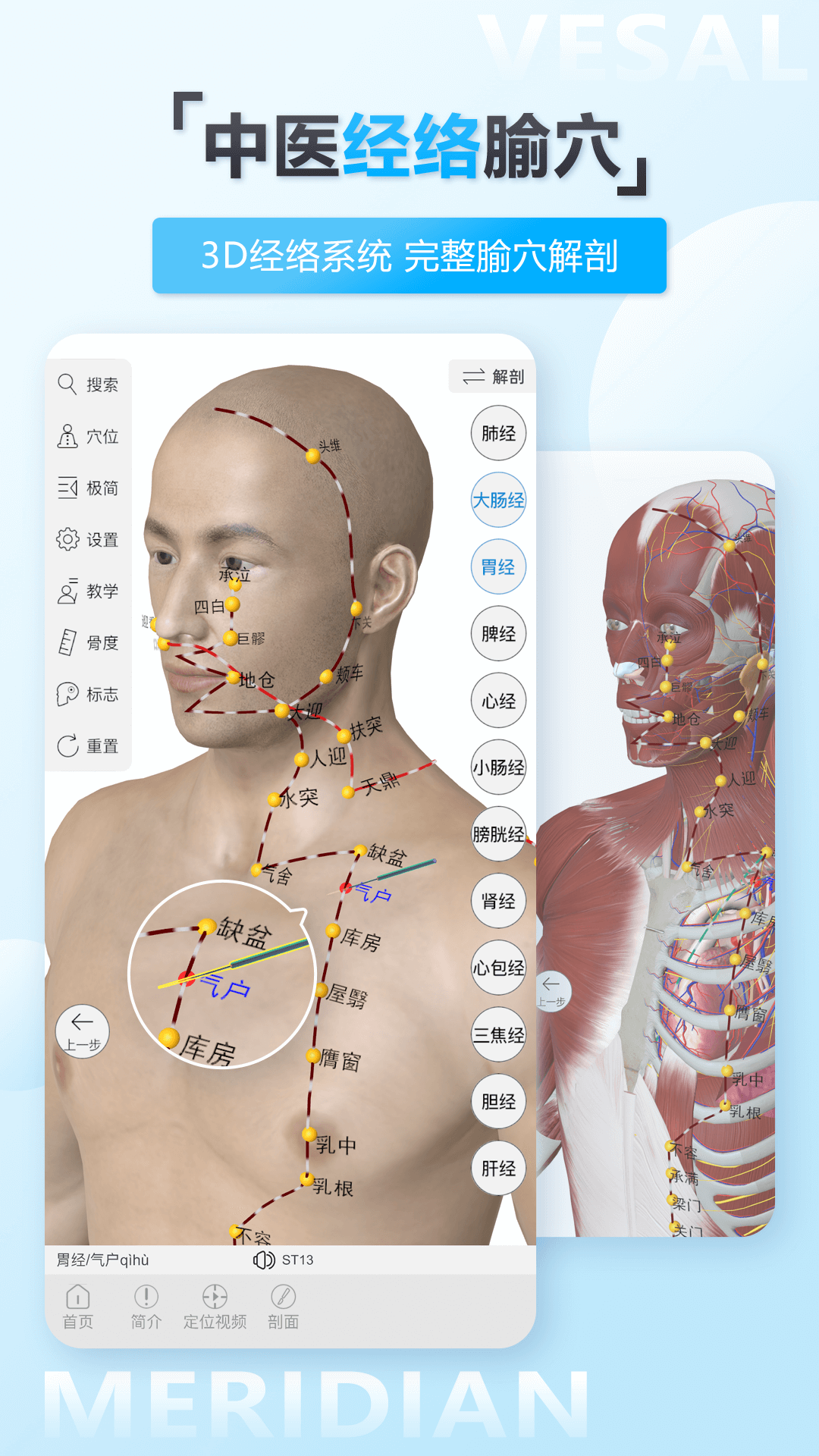 維薩里3D解剖截圖