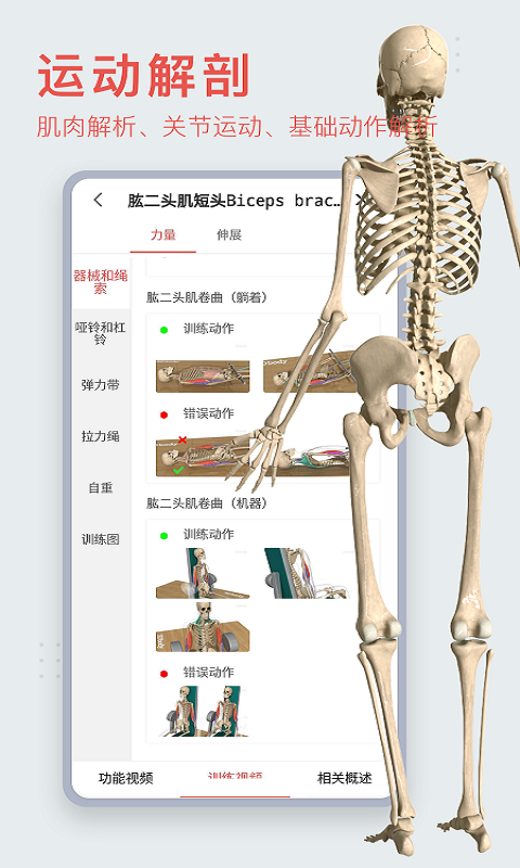 3Dbody解剖截圖