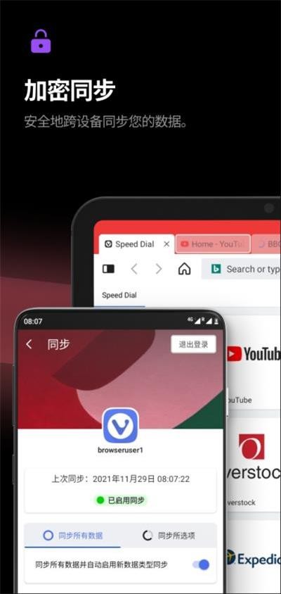 Vivaldi浏览器截图1