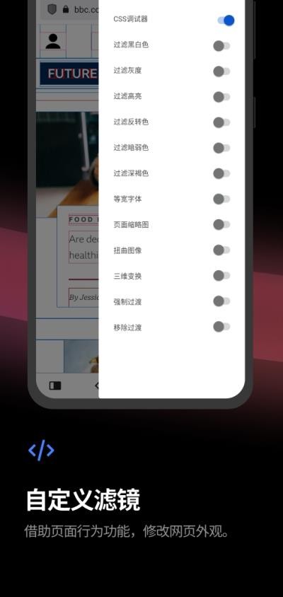 Vivaldi浏览器截图2