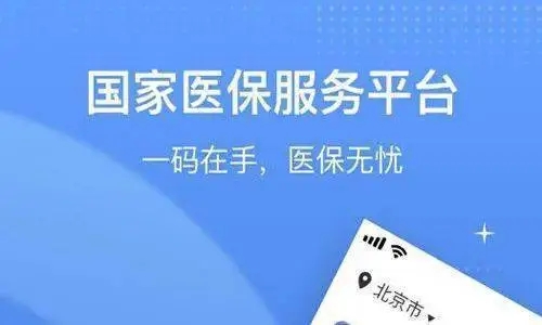 国家医保服务平台