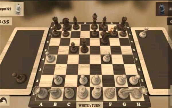 国际象棋单机版截图3