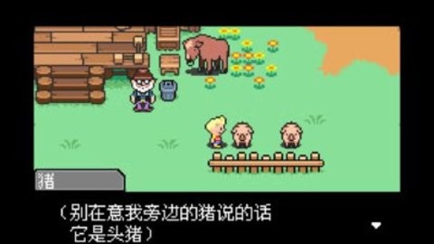 地球冒险3gba中文版截图3