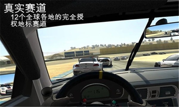 真实赛车3中文存档版截图3