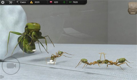 蚂蚁模拟大亨中文版截图1