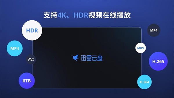 迅雷云盘tv版截图2