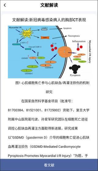 pubmed截圖