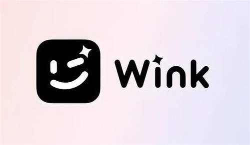 Wink软件去除视频字幕方法介绍