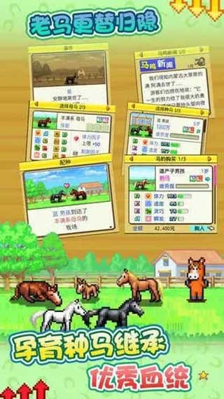 賽馬牧場(chǎng)物語(yǔ)原版截圖