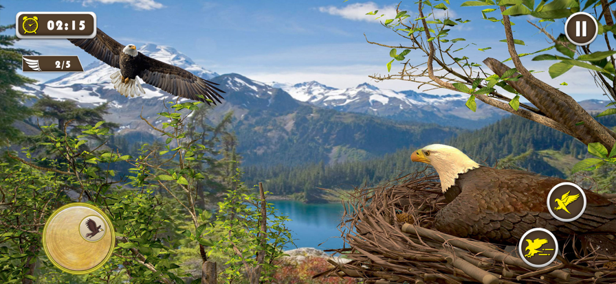 宠物美国鹰生活模拟3D截图3