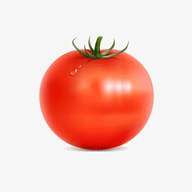 西红柿2024