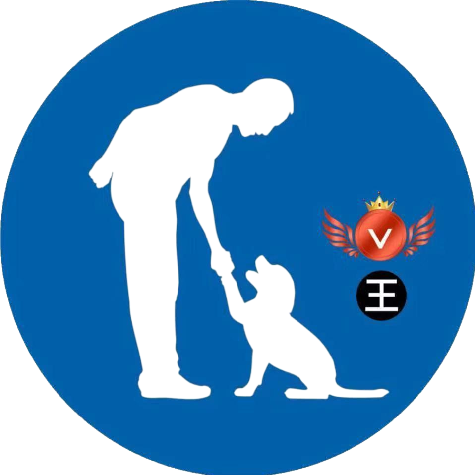 超级影视无广告