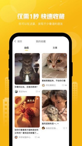 友猫最新版截图2