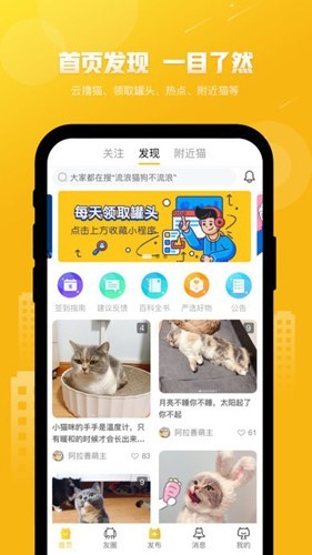 友猫最新版截图3