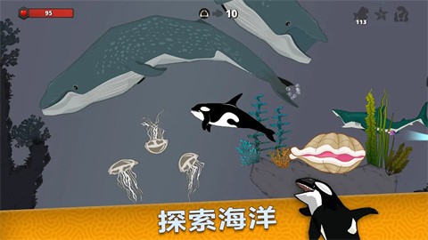 皇家魚截圖