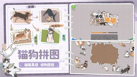 擠在一起的貓貓手機(jī)版截圖