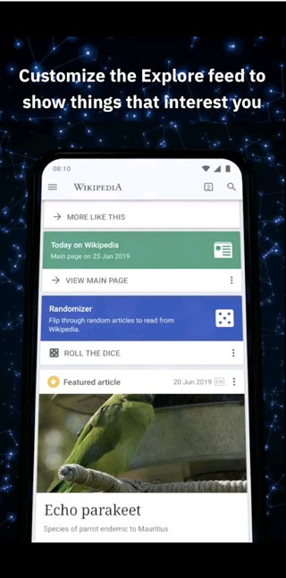 维基百科中文版截图
