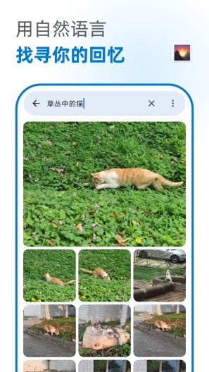 图搜截图