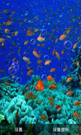海底動態(tài)壁紙手機(jī)壁紙截圖