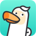 DoDo