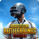 pubgmobile國(guó)際服手游官方版