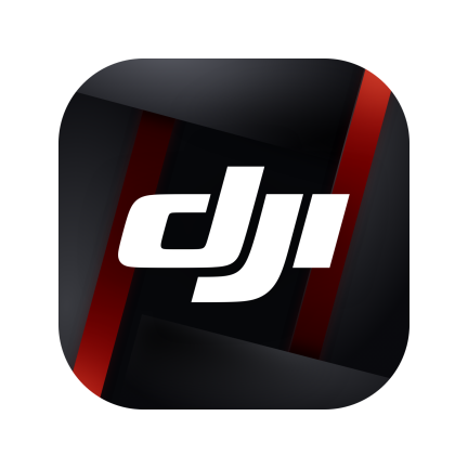 DJI Ronin