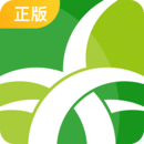 野草助手电视版