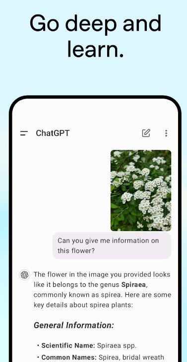 Chat GPT中文截圖