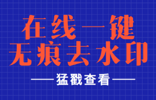 无痕除水印