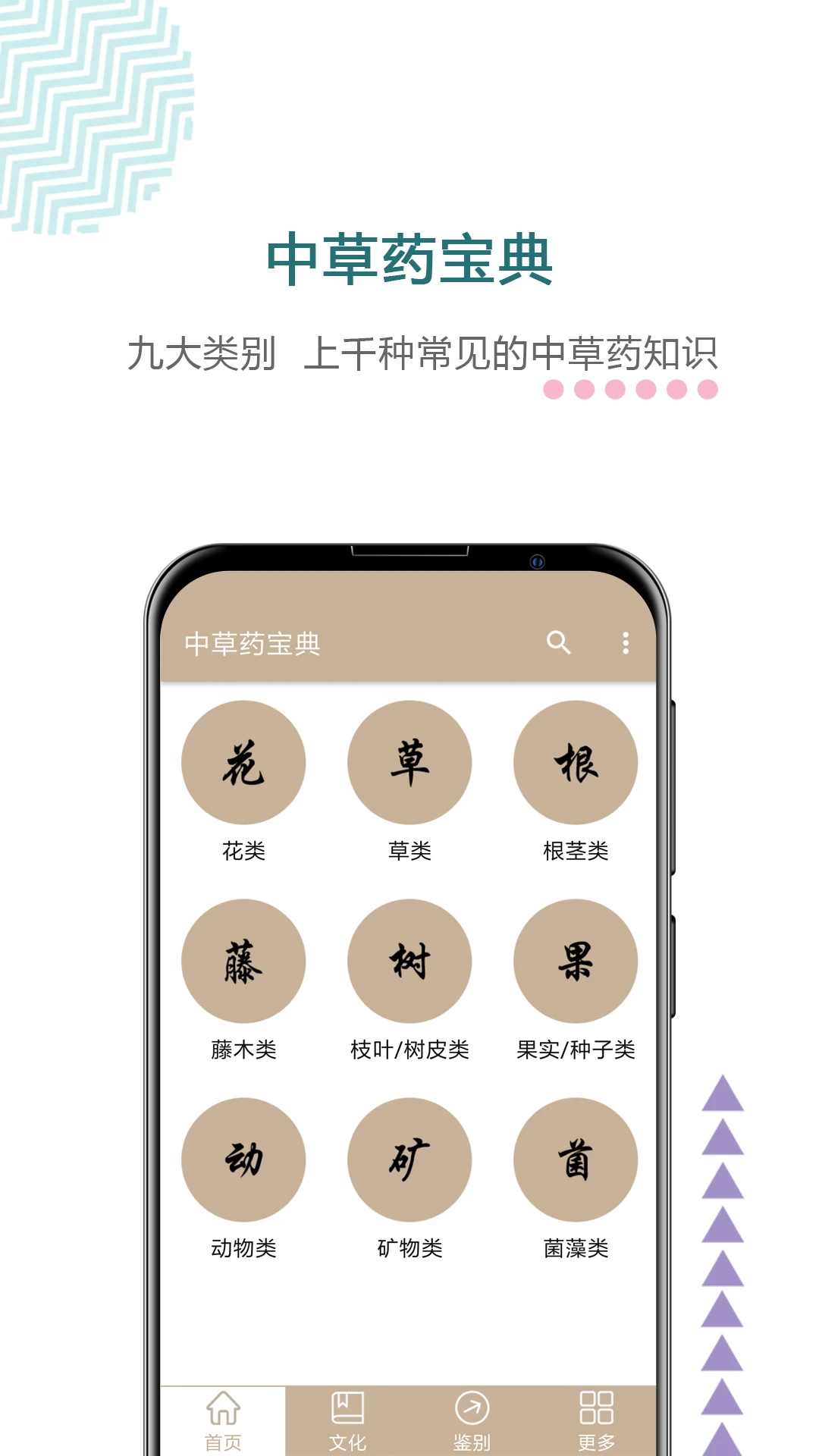 中草药宝典查询 截图1