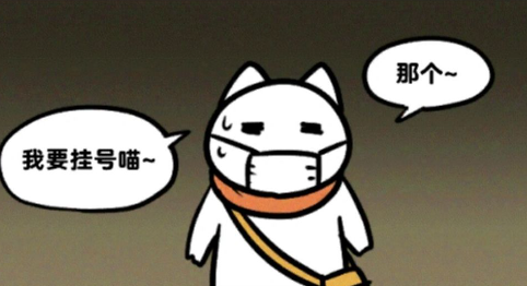白猫解谜