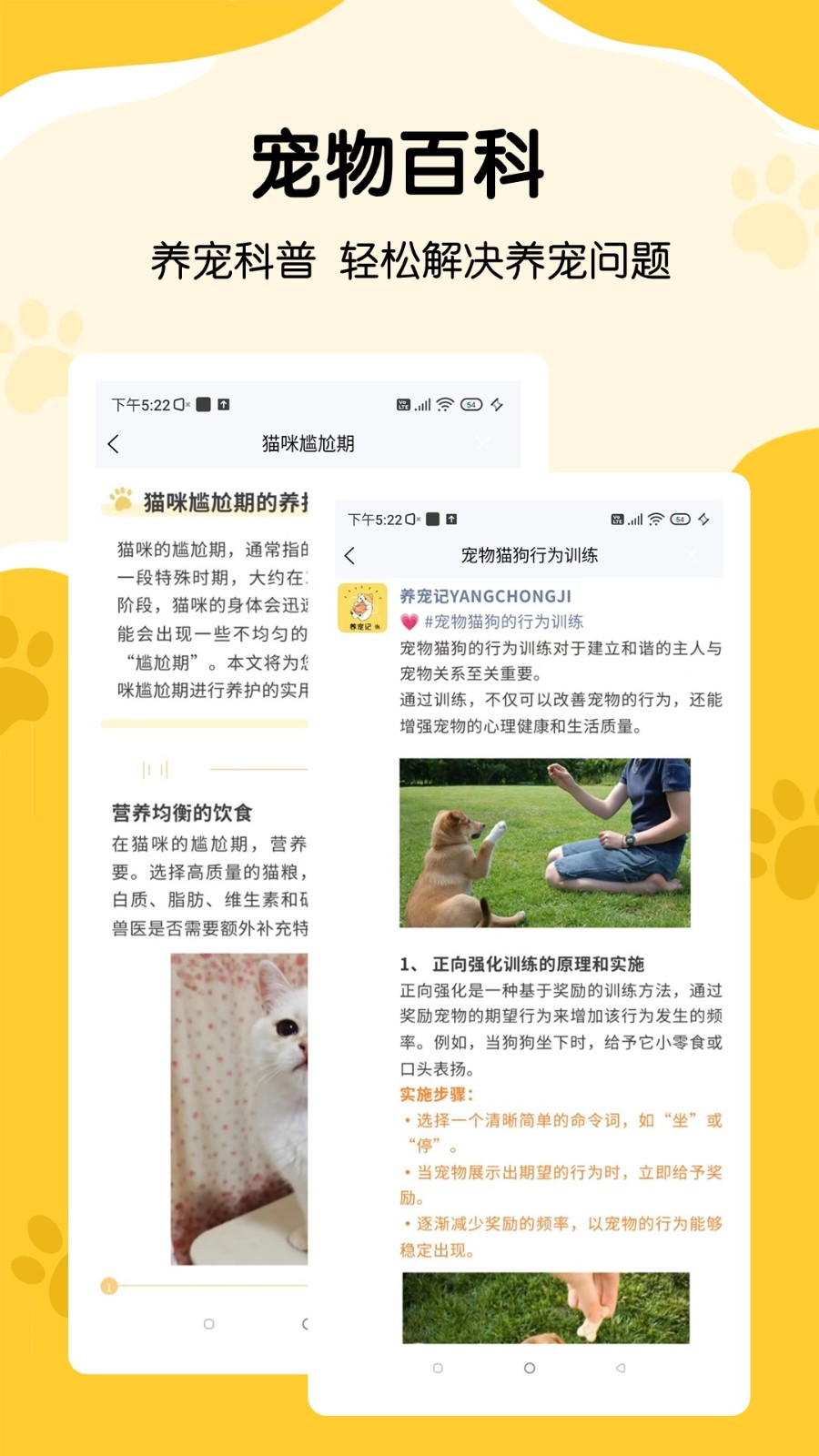 養(yǎng)寵記截圖