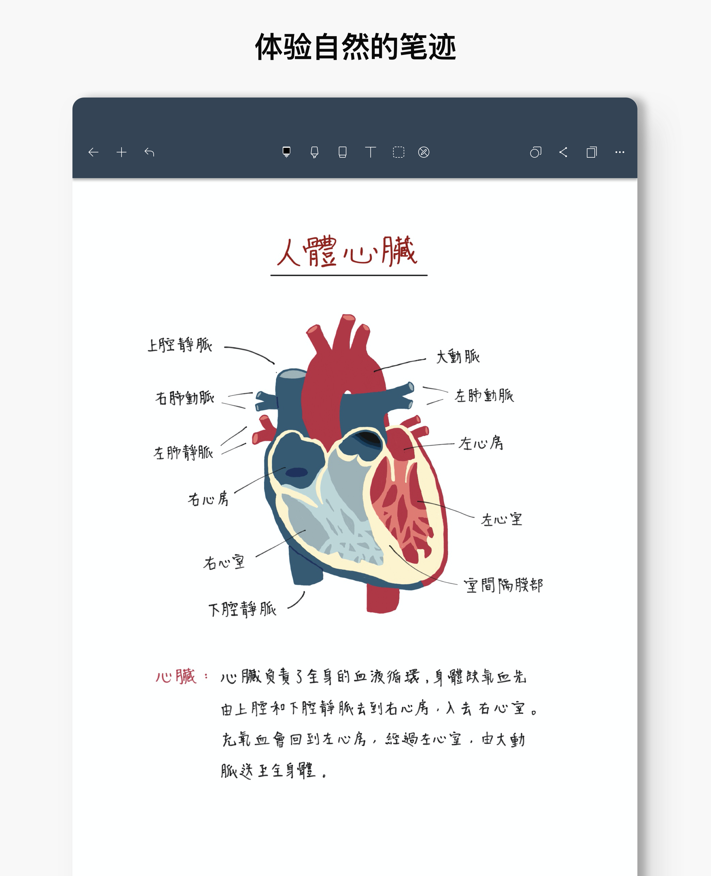 Noteshelf筆記截圖