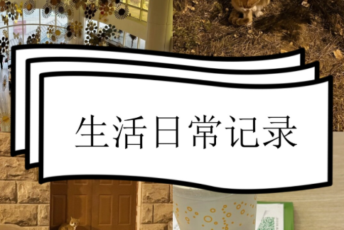 日常记录