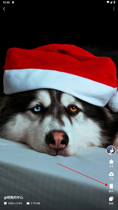 汽水壁紙免費(fèi)版截圖