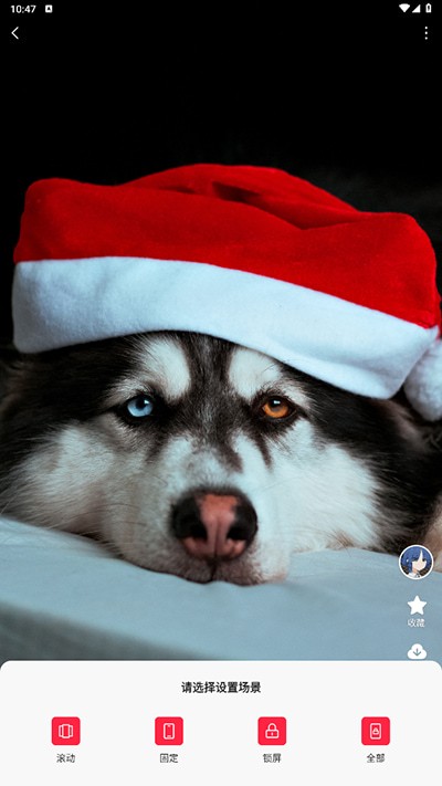 汽水壁紙免費(fèi)版截圖