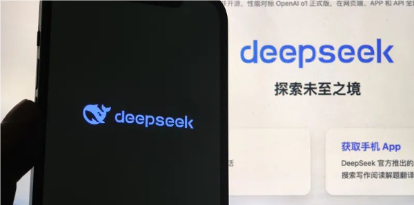 DeepSeek