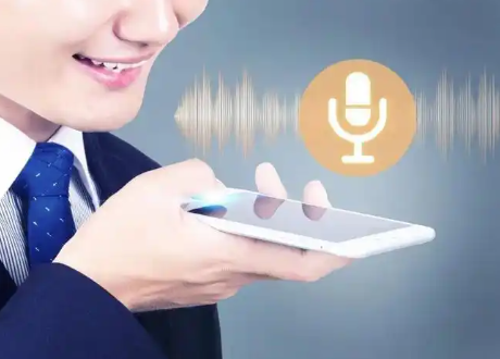 语音导游