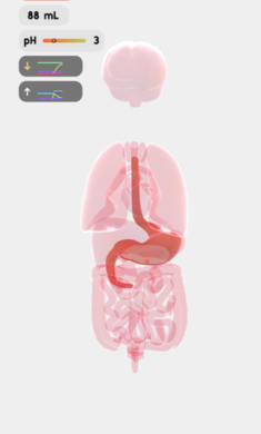 life生命模擬器中文版截圖
