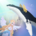 深海水族馆官方正版