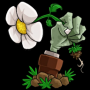 植物大战僵尸转基因版官方版