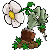 植物大戰(zhàn)僵尸轉(zhuǎn)基因版官方版