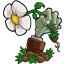 植物大戰(zhàn)僵尸轉(zhuǎn)基因版2.0